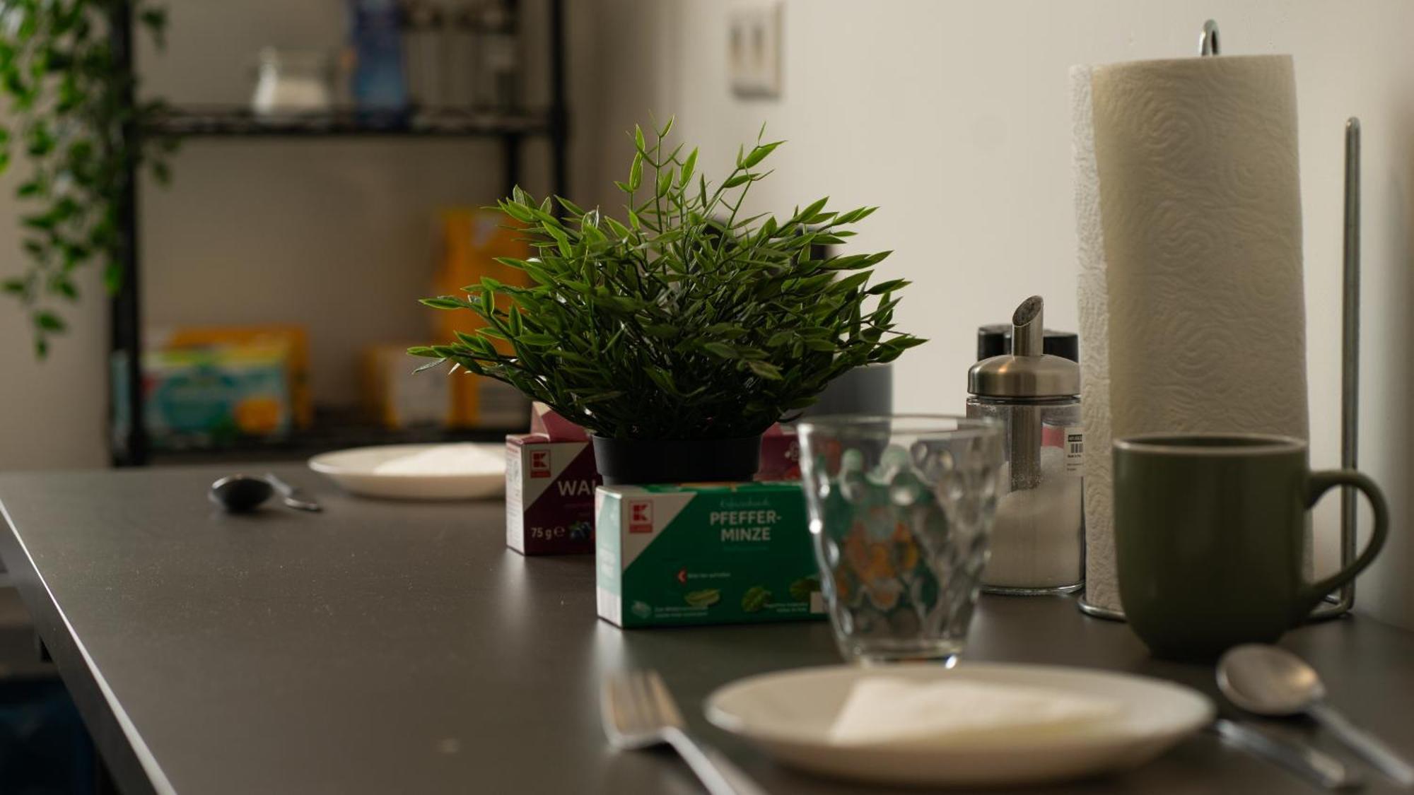 2 Zimmer In Apartment *